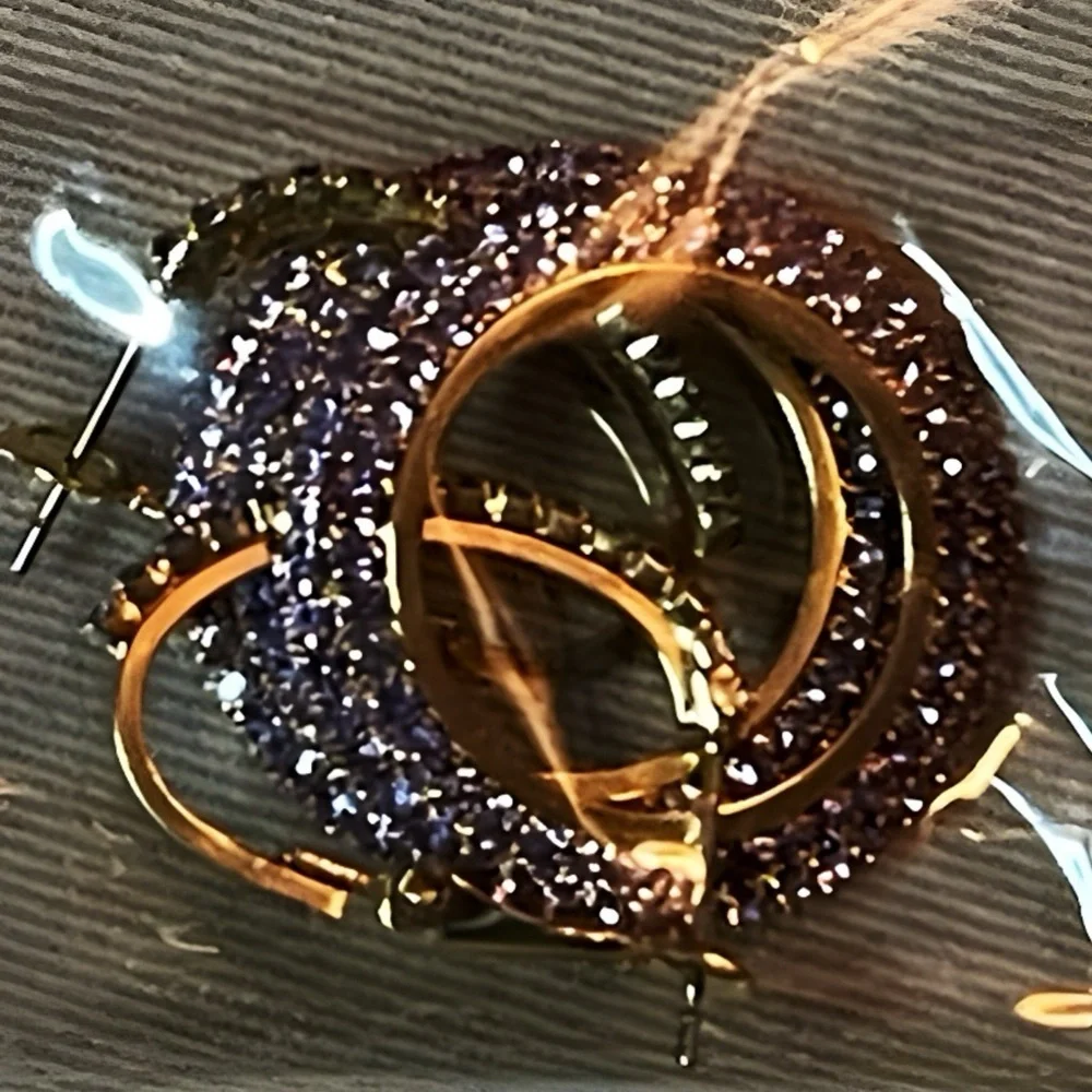 Rose Gold Bling Double Looped CZ Circle Hoops Dangling Earrings NWOT